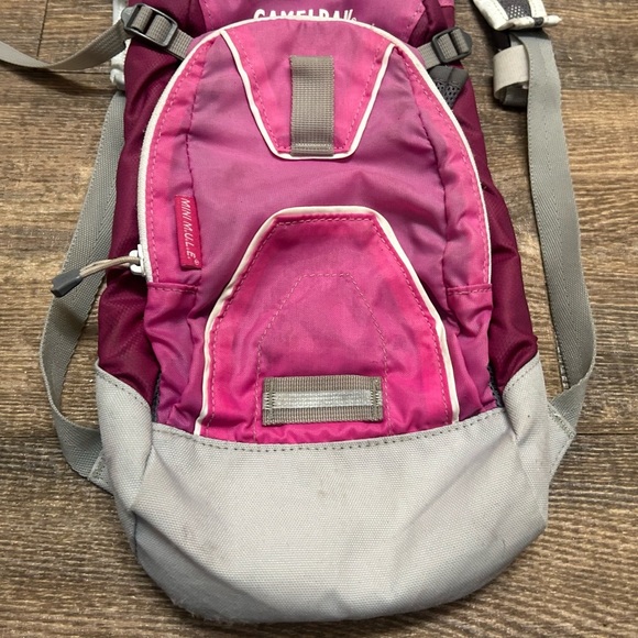 CamelBak mini mule Pink and Gray Backpack in good condition minor stains - Picture 4 of 9